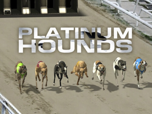 Hounds